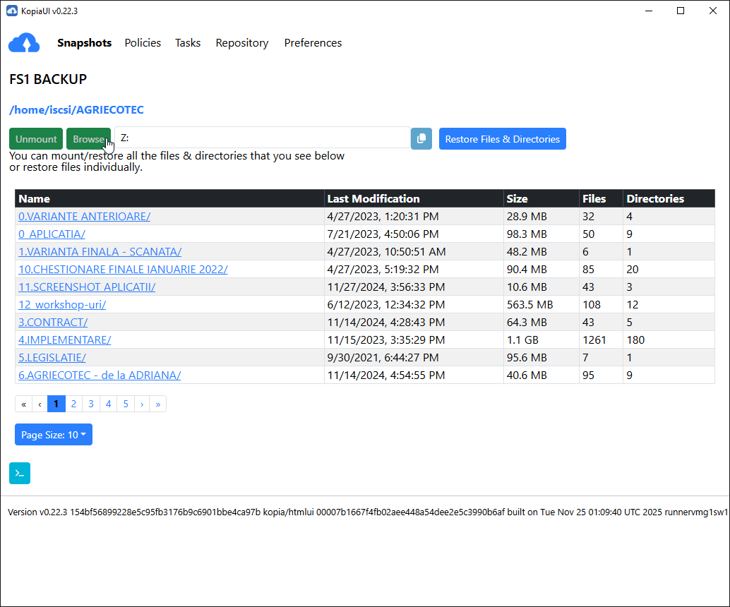 Mount as Local Filesystem